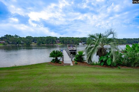 A home in Chapin