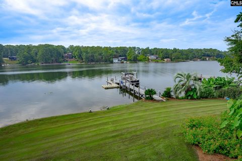 A home in Chapin