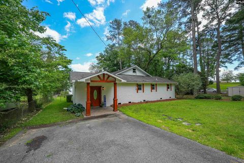 A home in Chapin