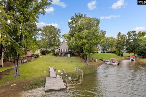 A home in Chapin