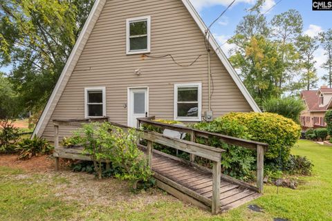 A home in Chapin