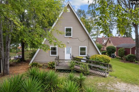 A home in Chapin