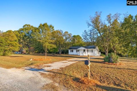 Photo of 802 Bundrick Road, Pomaria, SC 29126 (MLS # 620797)