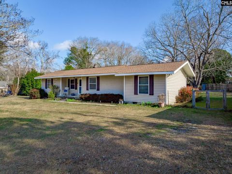Photo of 1016 Willis Street, Batesburg, SC 29006 (MLS # 624517)