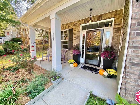 A home in Chapin