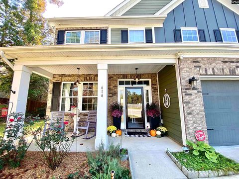 A home in Chapin