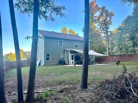 A home in Chapin