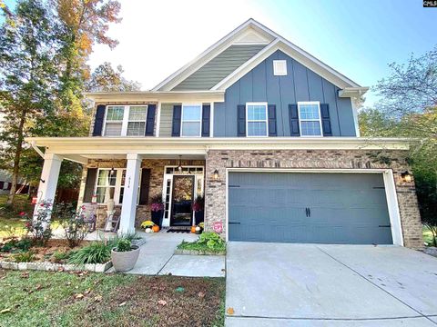 A home in Chapin