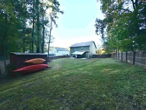 A home in Chapin