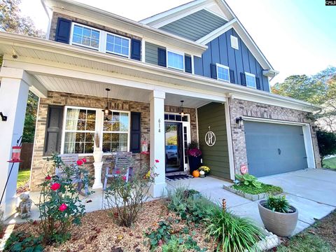 A home in Chapin