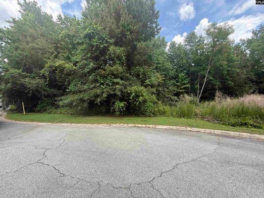 239 FAIR RIDGE LN, BLYTHEWOOD, SC 29016 - Image 3de15b69fa9ab0ab2f96d4d983039c99/3400580712