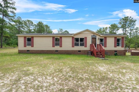 Single Family Residence in Pelion SC 2709 Pine Street.jpg