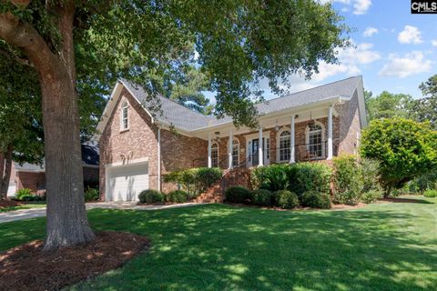115 Pointe Overlook Drive Chapin Sc 29036
