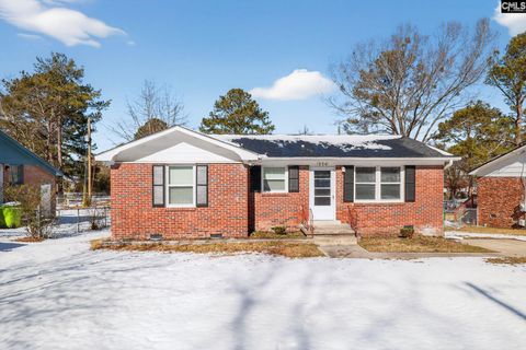 Photo of 226 Horseshoe Circle, Columbia, SC 29223 (MLS # 627175)