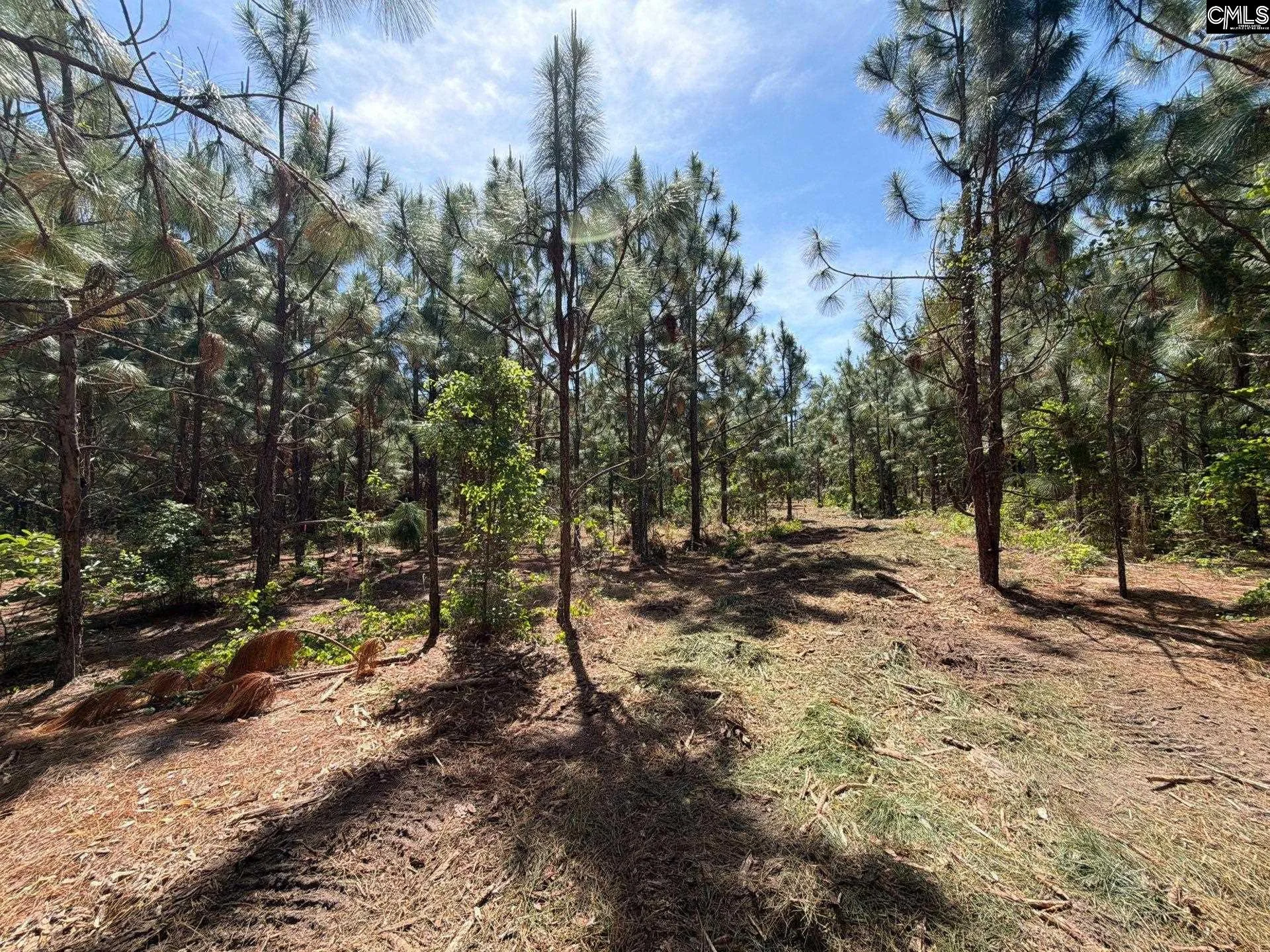 HRF 7 Holstein Road, Wagener, SC, 29164