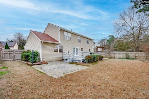 A home in Chapin