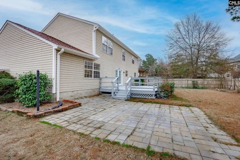 A home in Chapin