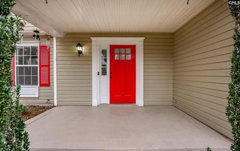 A home in Chapin