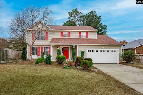 A home in Chapin