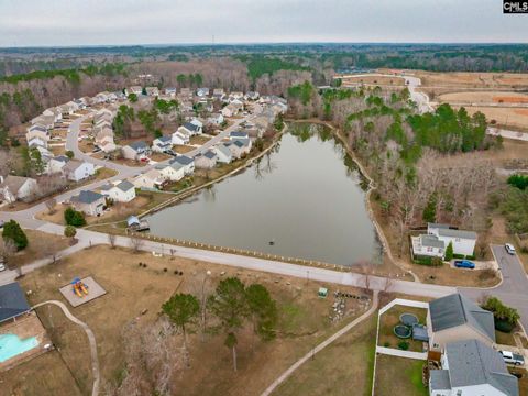 A home in Chapin