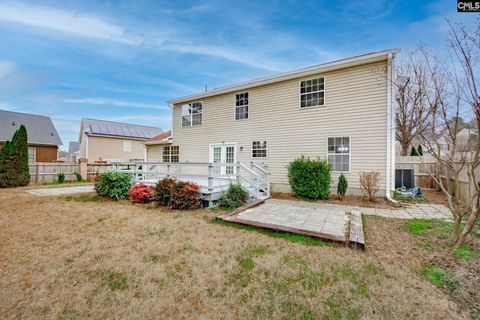 A home in Chapin