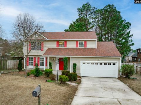 A home in Chapin