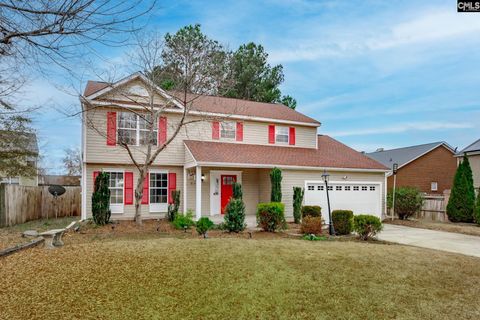 A home in Chapin