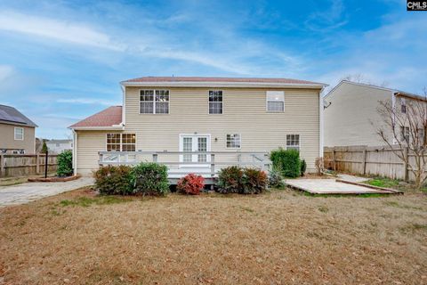 A home in Chapin