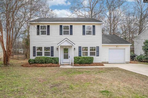 Photo of 107 Stamport Circle, Irmo, SC 29063 (MLS # 627411)