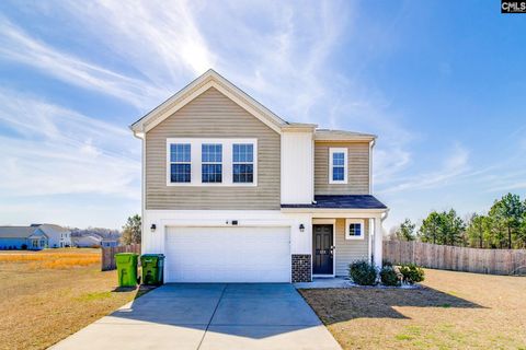 Photo of 133 Champions Ridge Court, Hopkins, SC 29061 (MLS # 628413)