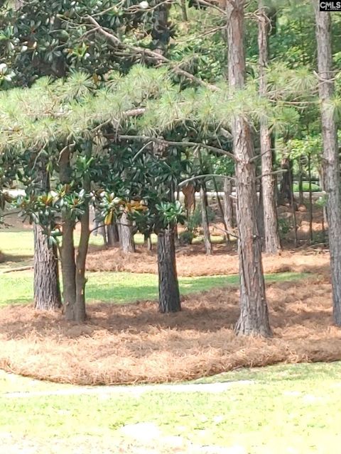 A home in Blythewood