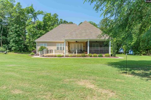 A home in Chapin