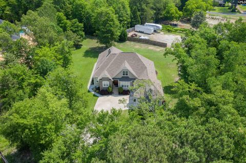 A home in Chapin