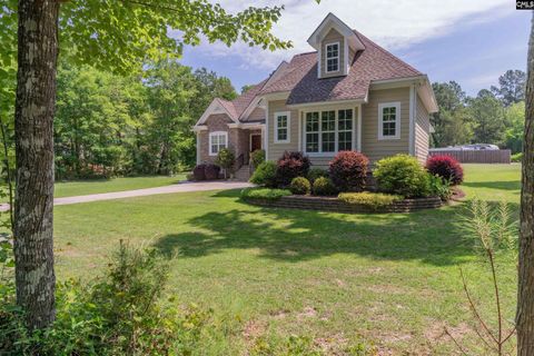 A home in Chapin