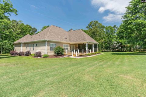 A home in Chapin