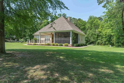 A home in Chapin