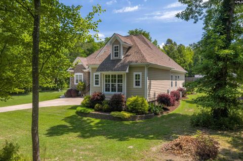 A home in Chapin