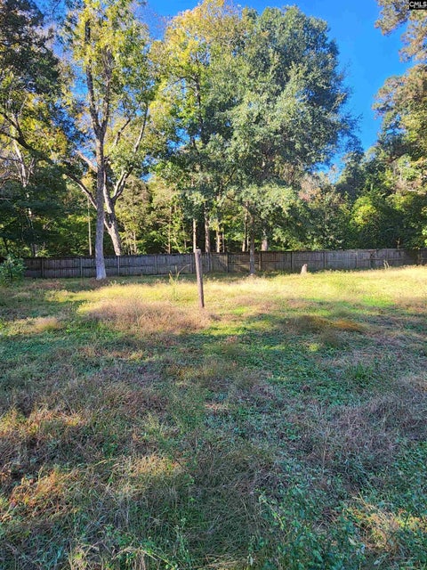 Photo of 114 Hollingshed Creek Boulevard, Irmo, SC 29063 (MLS # 646022)