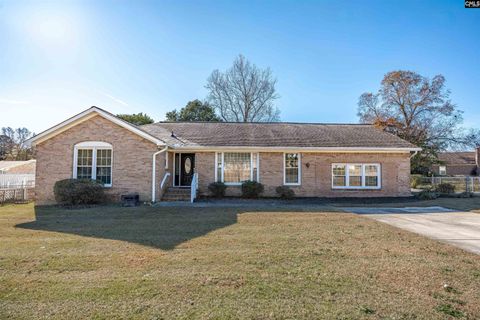 Photo of 303 Northview Road, West Columbia, SC 29169 (MLS # 622471)