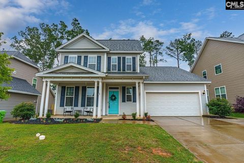 A home in Chapin