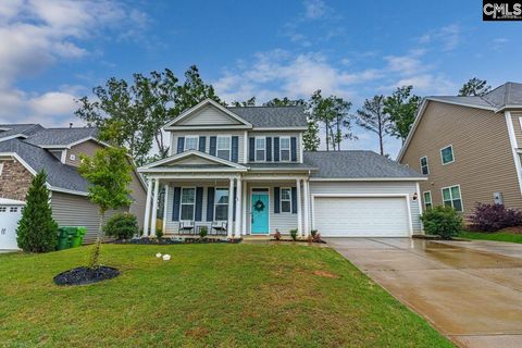 A home in Chapin