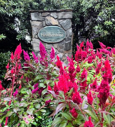 Photo of 3 Gidding Court, Irmo, SC 29063 (MLS # 620623)