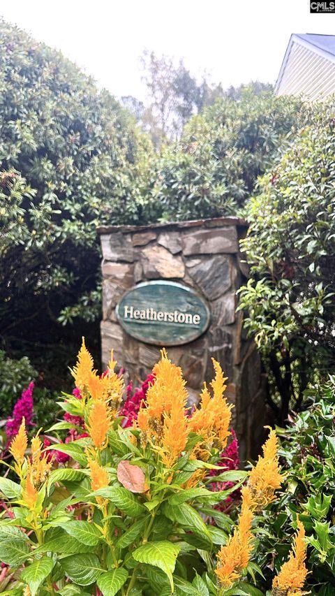 Photo of 3 Gidding Court, Irmo, SC 29063 (MLS # 620623)