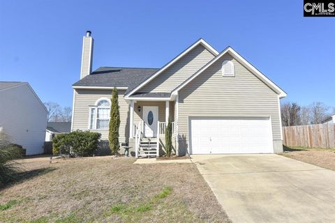 A home in Chapin