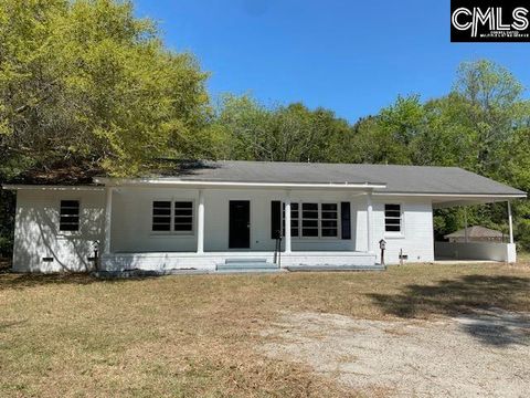 Photo of 12139 Old Number Six Highway, Eutawville, SC 29048 (MLS # 630397)