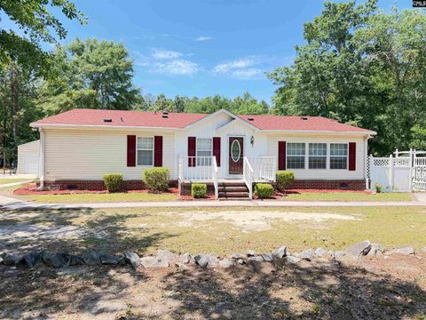 430 Long Branch Road Gilbert Sc 29054