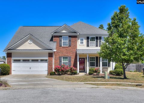 Photo of 299 Oleander Mill Drive, Columbia, SC 29229 (MLS # 631352)