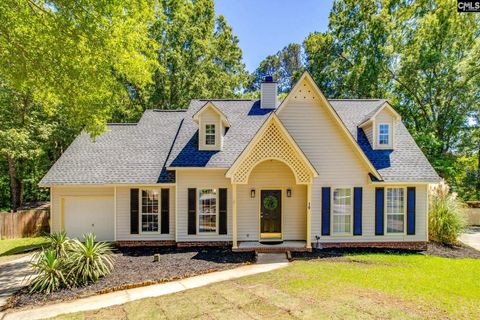 Photo of 16 Seaford Court, Irmo, SC 29063 (MLS # 634101)