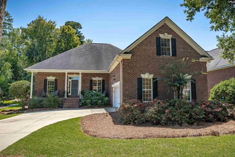 A home in Chapin