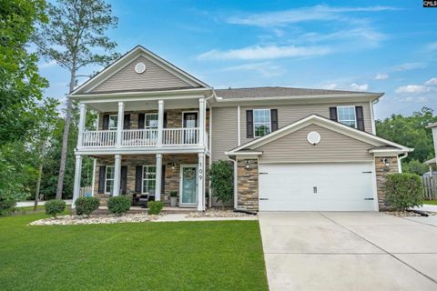 Photo of 109 SUNSATION Drive, Chapin, SC 29036 (MLS # 635627)
